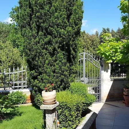 Ferienwohnung-ginkgo-a4 公寓