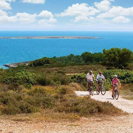 Ferienwohnung-ginkgo-a4