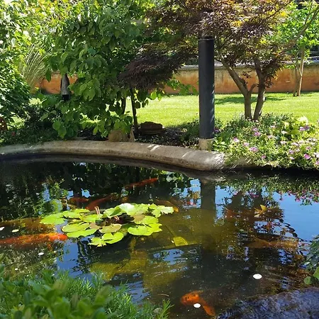 公寓 Ferienwohnung-ginkgo-a4 班约勒