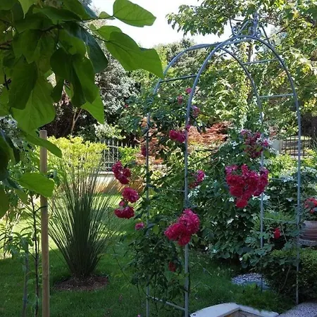 Ferienwohnung-ginkgo-a4 * 班约勒