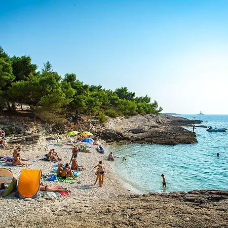 公寓 Ferienwohnung-ginkgo-a4 *