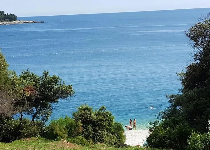 아파트 Ferienwohnung-ginkgo-a4 *